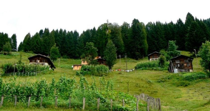 Karadeniz Batum Kars Erzurum Erzincan Sivas Turu