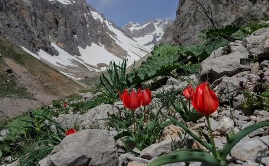 Munzur Dağları (Dersim) Doğa-Fotoğraf ve Trekking  Gezisi