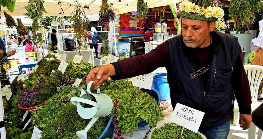 Alaçatı Ot Festivali Turu