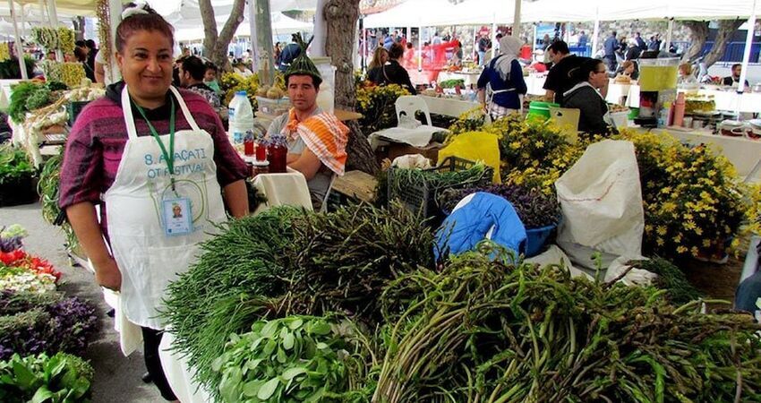 Alaçatı Ot Festivali Turu