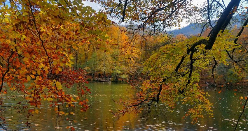 İstanbul Çıkışlı Baştan Sona Karadeniz Turu