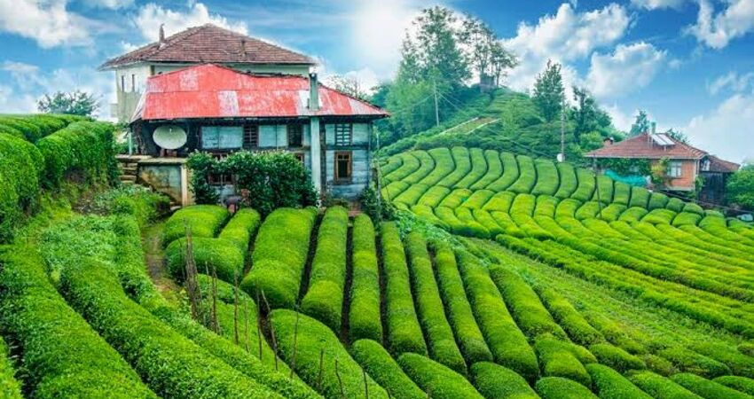 Doğu Karadeniz Batum Turu (Yeni Rota)
