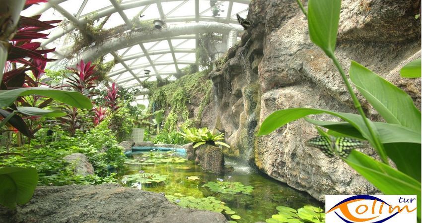 Konya Lale Bahçeleri Turu 1